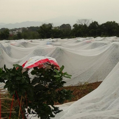 Αγορά Θερμική μόνωση Γεωργική μη υφασμένη καλλιέργεια σπόρων online manufacture