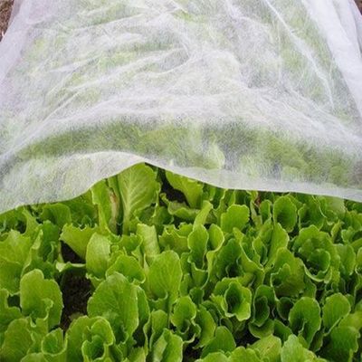 Αγορά Hygiene Agriculture Industry PP Nonwoven Fabric Hydropilic / Hydrophobic online manufacture