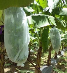 Αγορά Weed Control Agriculture PP Nonwoven for Planting Customize Weight Color Width Length online manufacture