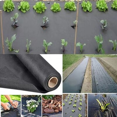Αγορά Vegetable Agriculture Nonwoven Fabric Anti - frost Fruit Bag Winter Protect Use Nonwoven online manufacture