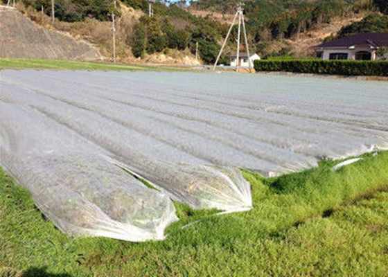 Αγορά Το μη υφαμένο ύφασμα γεωργίας επίγειας κάλυψης υφαμένο μη αποτρέπει τα ζιζάνια από την καταστροφή του τοπίου online manufacture